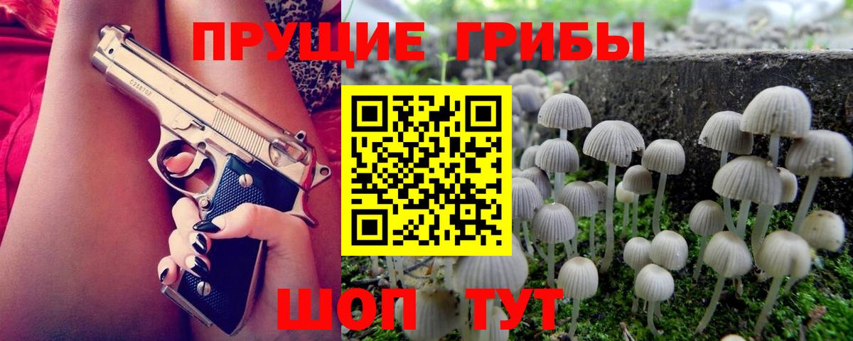 Галлюциногенные грибы Psilocybine cubensis  Вход с VPN  Медногорск  Галлюциногенные грибы мицелий 
